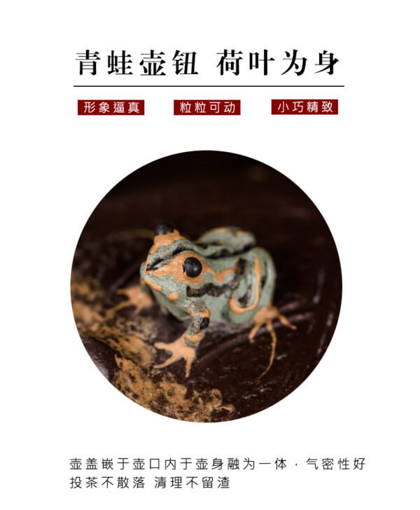 Yixing Handmade Zisha Mini Teapot, Frog and Lotus Seed Design - 图片 6